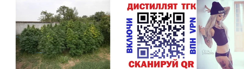 ТГК Wax Ковров