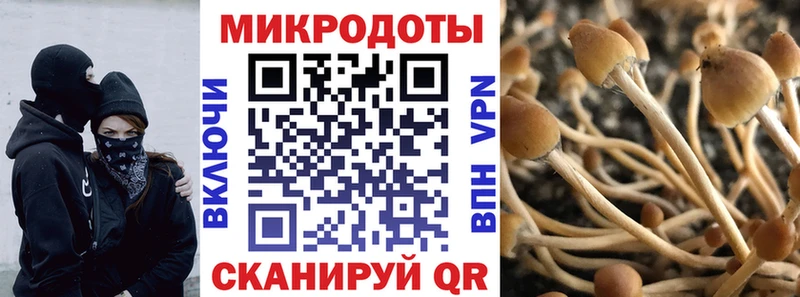 где купить   Ковров  Галлюциногенные грибы Magic Shrooms 