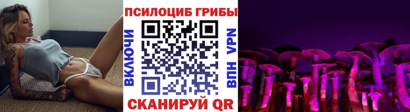 Псилоцибиновые грибы мицелий Ковров